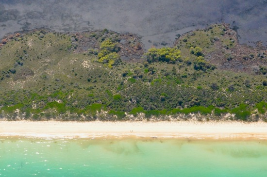 An aerial view of a beach, ocean and forest on the Freycinet Peninsula